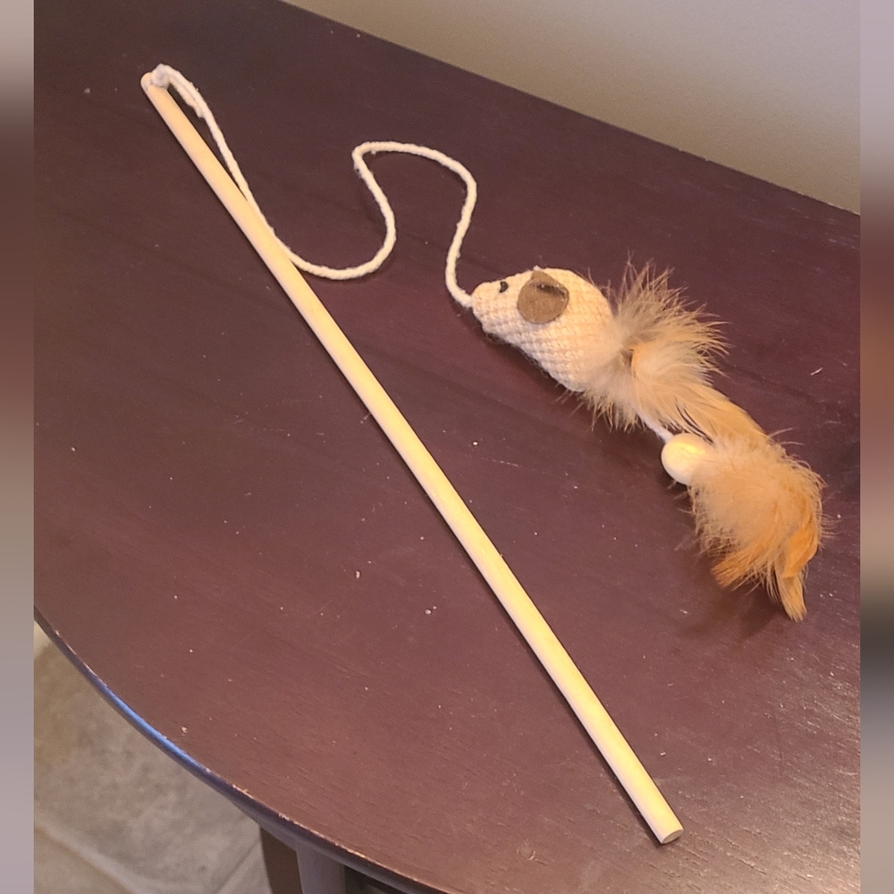 Catnip Wand Teaser Toy